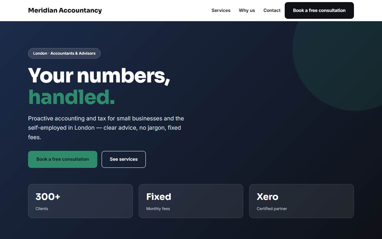 Accountants & Pro Services — Bold demo